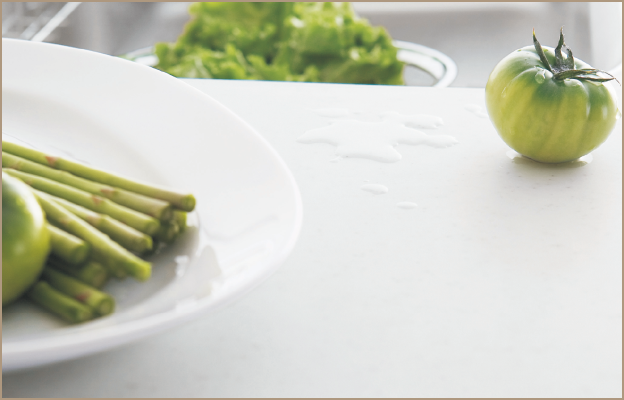 FLINT耐熱抑菌人造大理石檯面